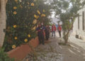 escuela-taller-clean-natura-garden-001