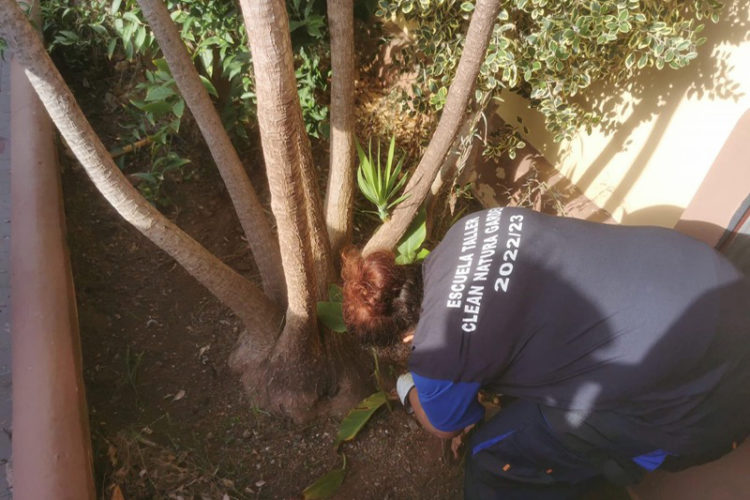 escuela-taller-clean-natura-garden-003