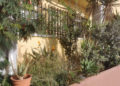escuela-taller-clean-natura-garden-006