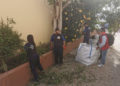 escuela-taller-clean-natura-garden-007