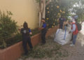 escuela-taller-clean-natura-garden-008