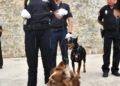 murallas-reales-acto-patron-policia-nacional-2022-012
