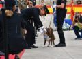 murallas-reales-acto-patron-policia-nacional-2022-047
