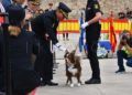 patron-policia-nacional-acto-2022-039