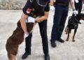 patron-policia-nacional-acto-2022-049