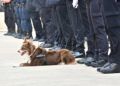 policia-nacional-acto-patron-2022-007