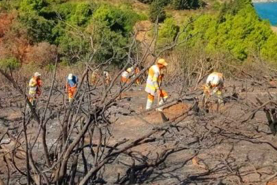 reforestacion-marruecos