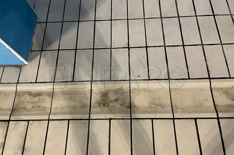 suciedad-guillermo-molina-picaduras-pulgas