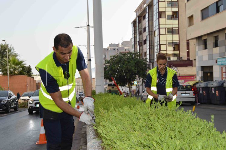 tragsa-medio-ambiente-limpieza (6)