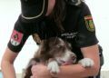 tuca-perra-policia-nacional-ana-hueso-004