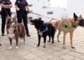 tuca-perra-policia-nacional-ana-hueso-014