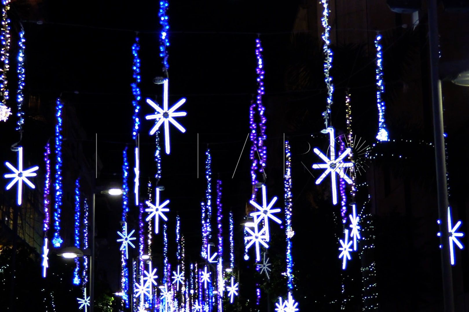 Encendido Luces Navidad6