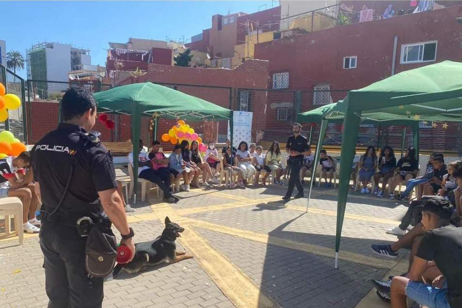 actividad-vicedo-martinez