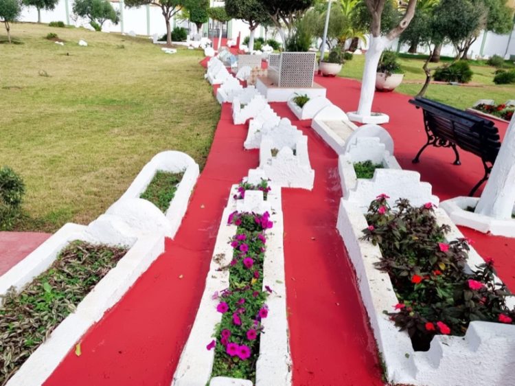 brigadas-verdes-cementerio-sidi-embarek-003