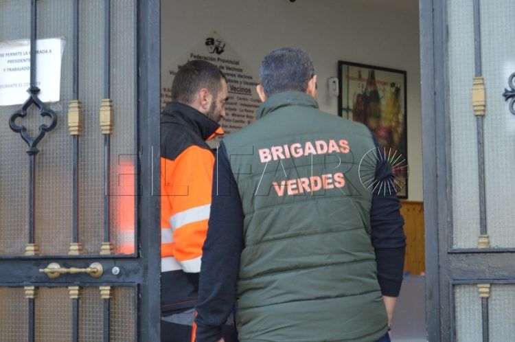 brigadas-verdes-referendum-006