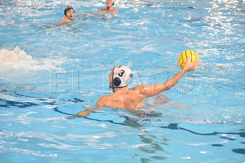 caballa-waterpolo