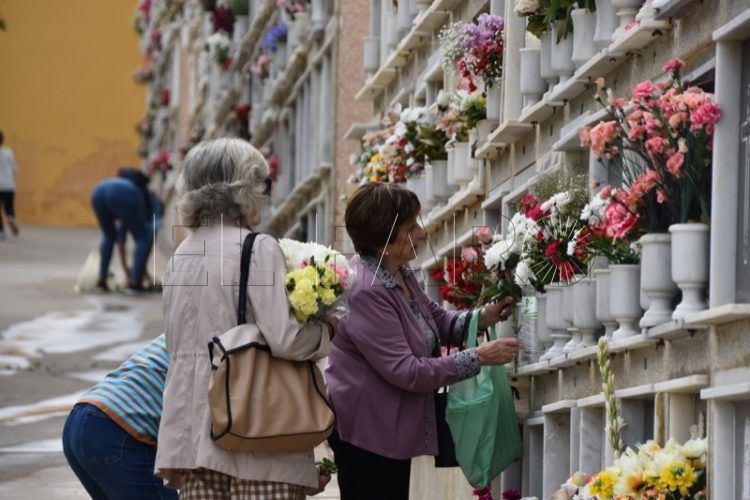 cementerio-dia-todos-santos-007
