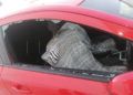 coches-cristales-rotos-calle-brull-policia-003