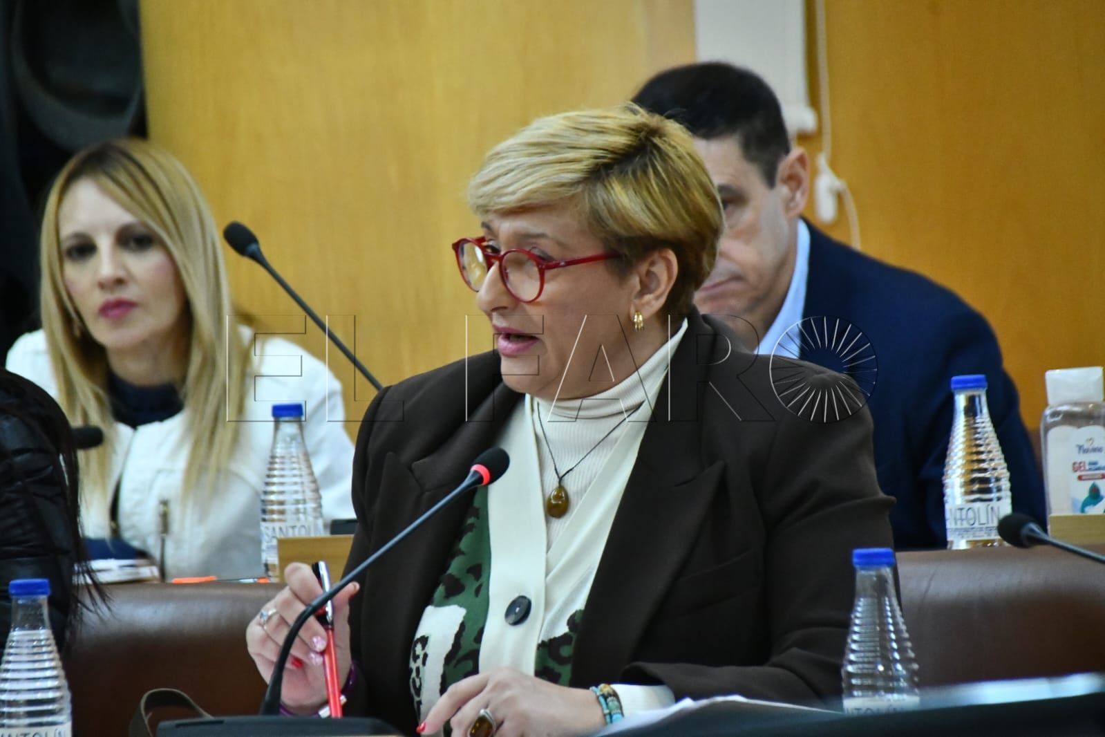 elena-mateo-psoe