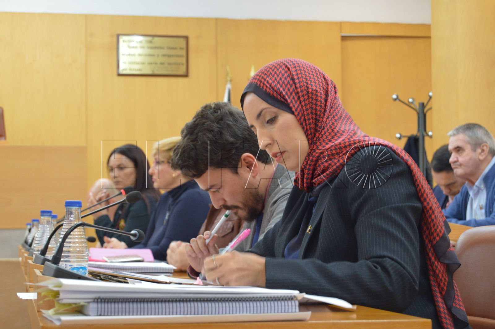 fatima-hamed-pleno