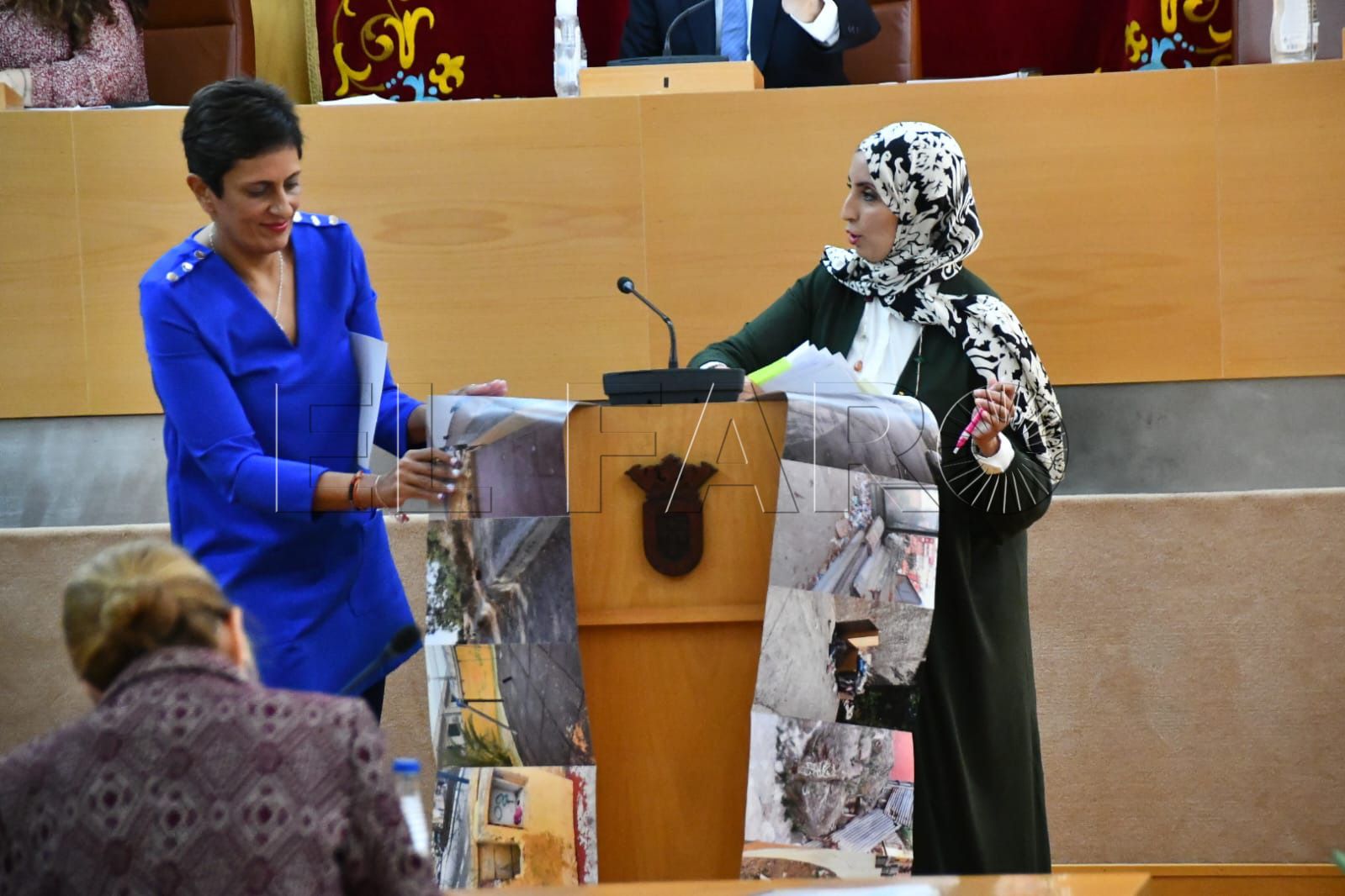 fatima-hamed-pleno-presupuesto (1)