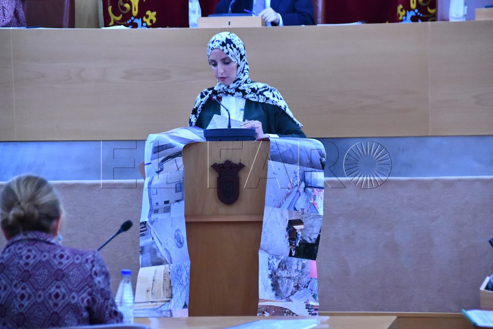 fatima-hamed-pleno-presupuesto (2)