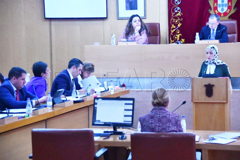 fatima-hamed-pleno-presupuestos-004
