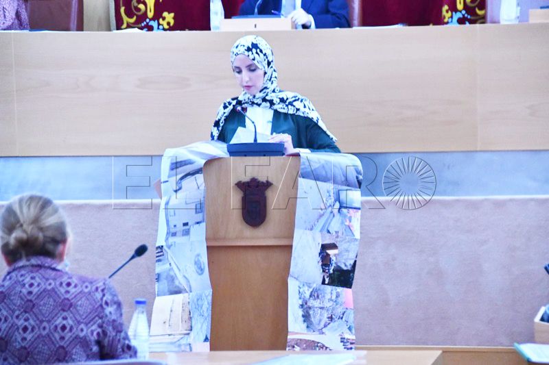 hamed-mdyc-presupuestos-pleno-001
