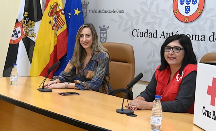 icd-cruz-roja-001