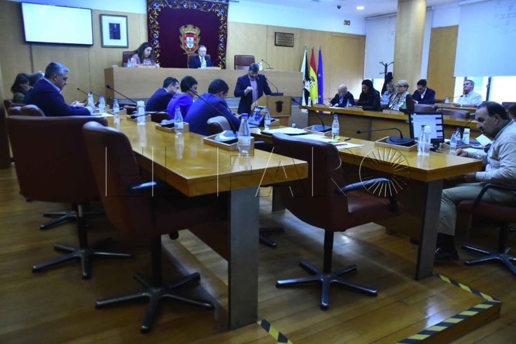 pleno-sin-vox