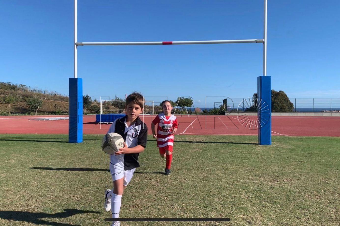 rugby (2)
