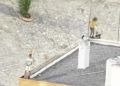 san-daniel-obimace-vallar-techo-local-social-1