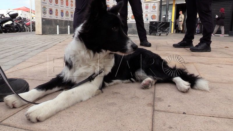 tribu-perro-policia-explosivos-001