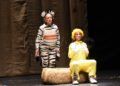 cebra-camila-teatro-revellin-038