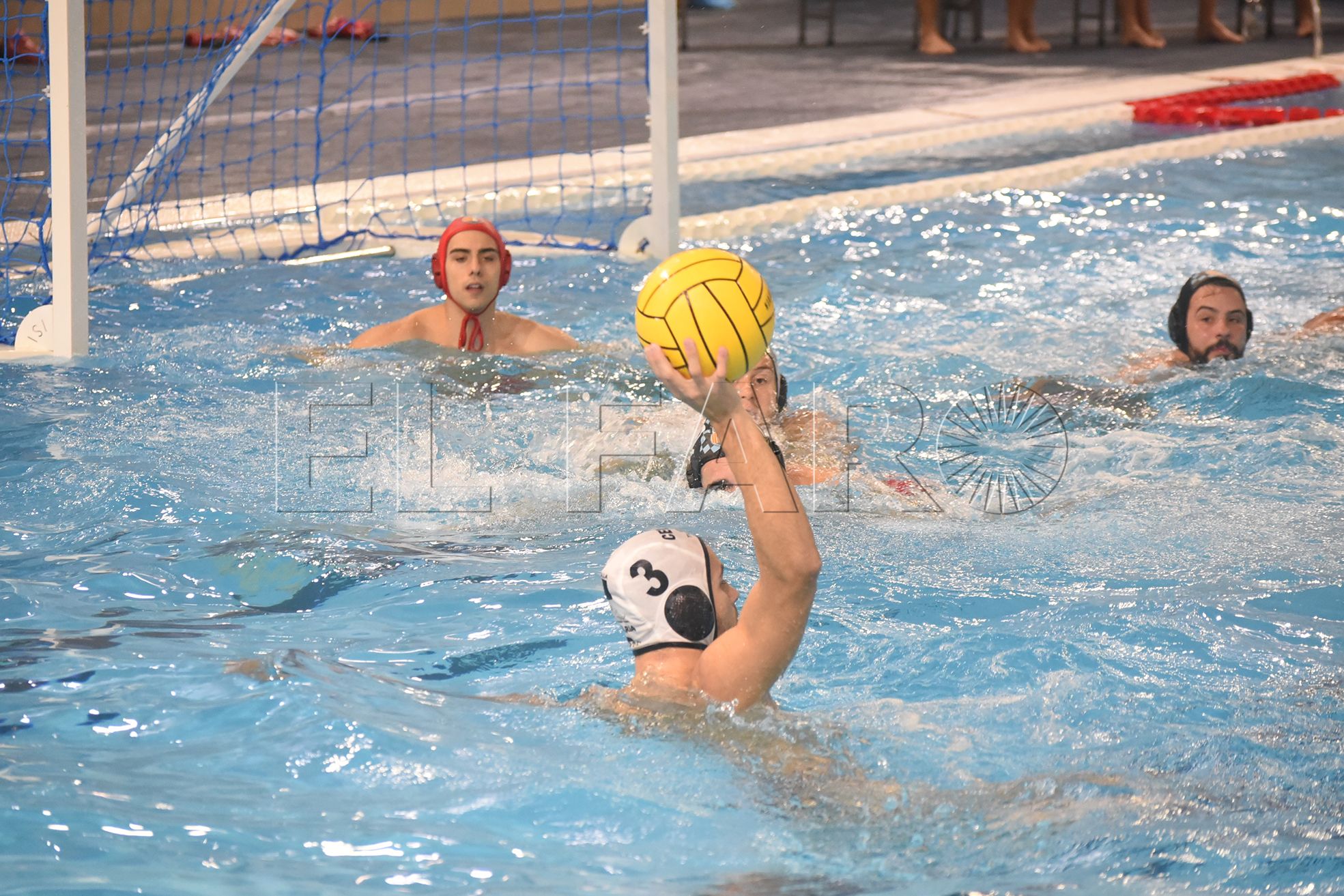 club-natacion-caballa