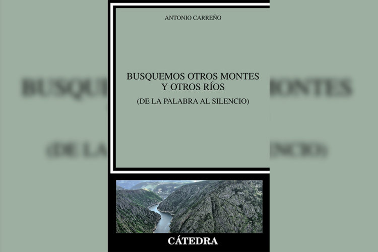 critica-literaria-libro