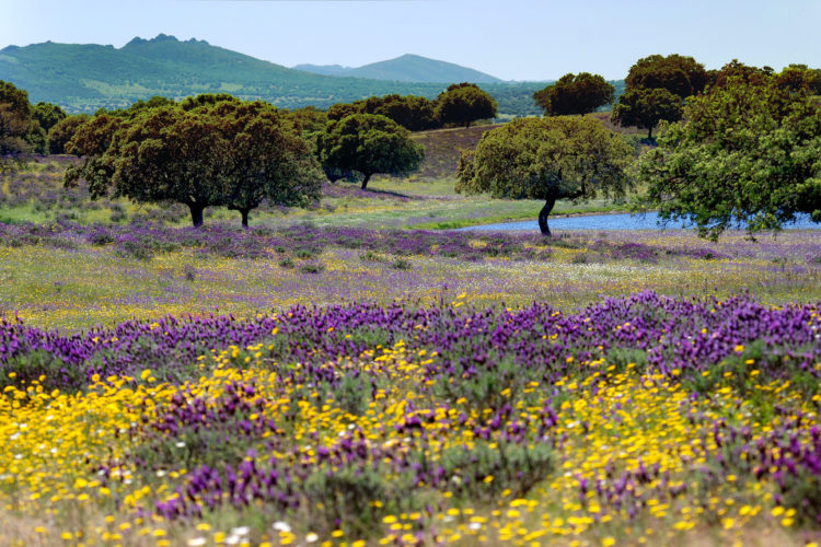 extremadura-2