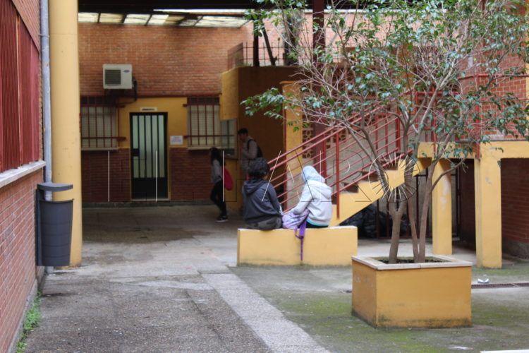 instituto