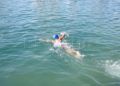 natacion-travesia-nado-2022-002