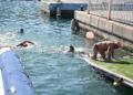 natacion-travesia-nado-2022-021