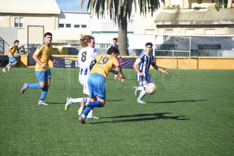 polillas-recreativo
