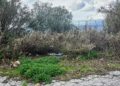 suciedad-san-antonio-valdeaguas-2