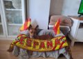 thor-apoya-espana