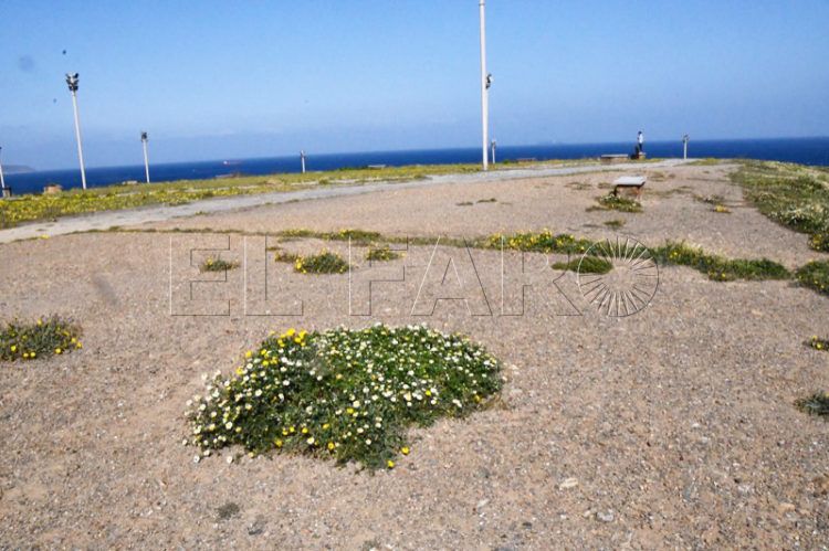 tierra-santa-catalina-001