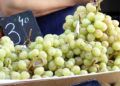 uvas-nochevieja-004