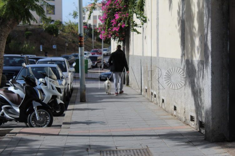 gente-pasea-perro-calle