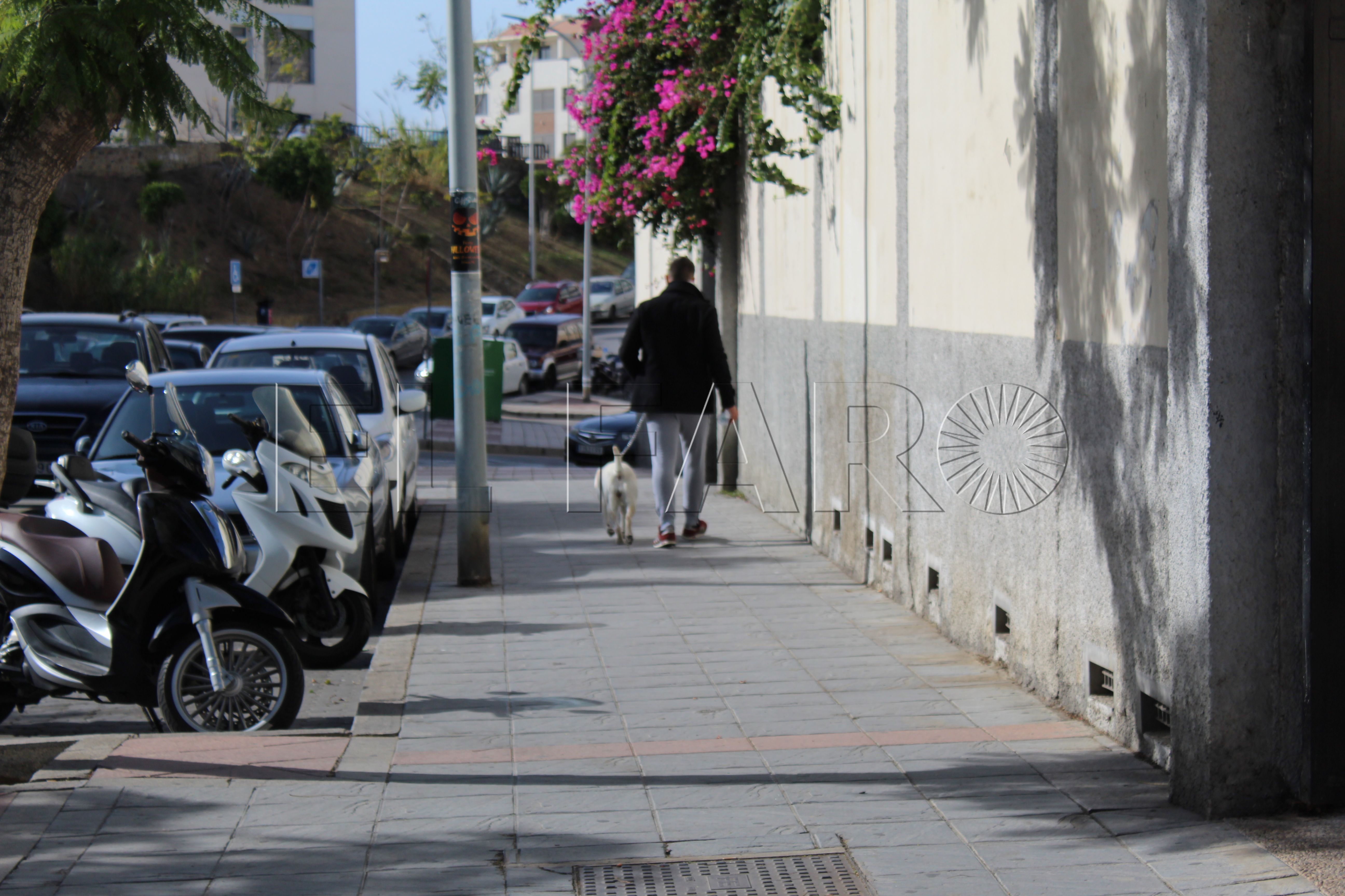 gente-pasea-perro-calle
