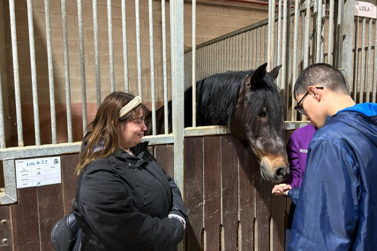 hipoterapia-plena-inclusion-caballos-001