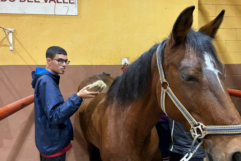 hipoterapia-plena-inclusion-caballos-003