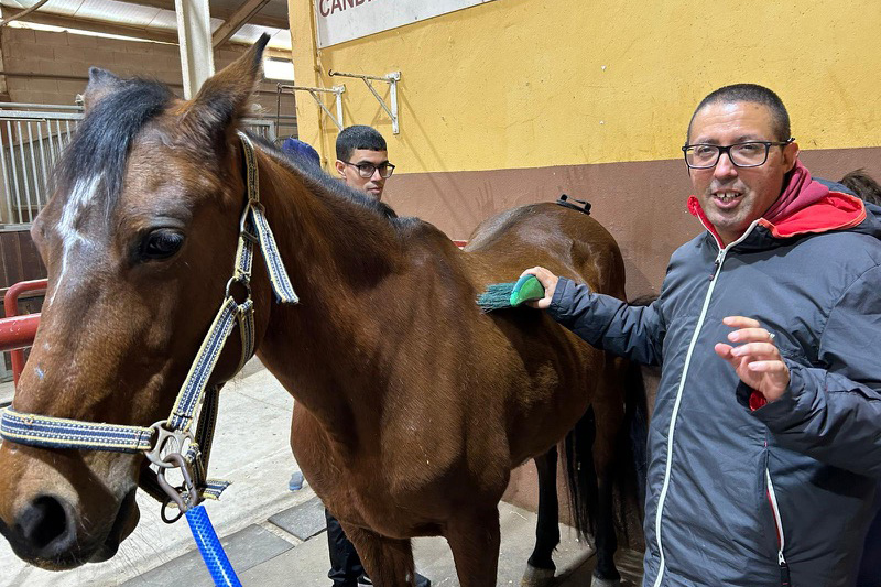 hipoterapia-plena-inclusion-caballos-004